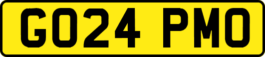 GO24PMO