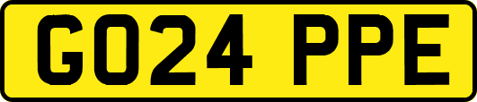 GO24PPE