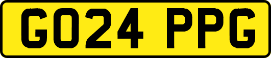 GO24PPG