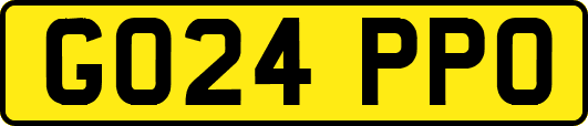 GO24PPO