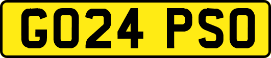 GO24PSO