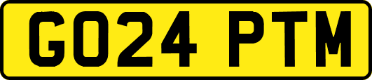 GO24PTM