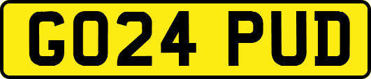 GO24PUD