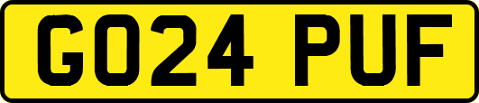 GO24PUF