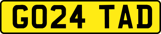 GO24TAD