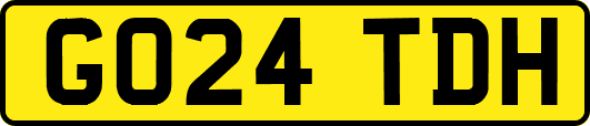 GO24TDH