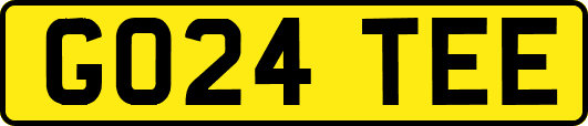 GO24TEE