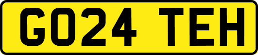 GO24TEH