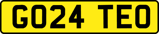 GO24TEO
