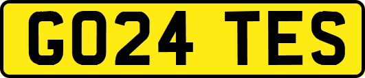 GO24TES