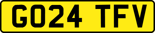 GO24TFV