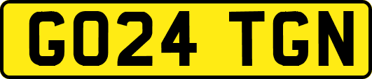 GO24TGN