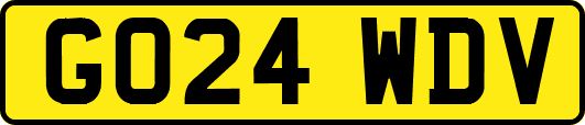GO24WDV
