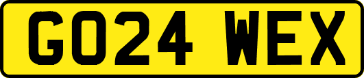 GO24WEX