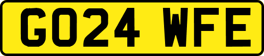GO24WFE