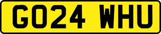GO24WHU