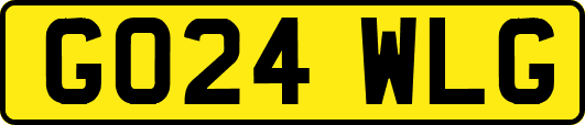 GO24WLG