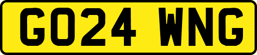 GO24WNG
