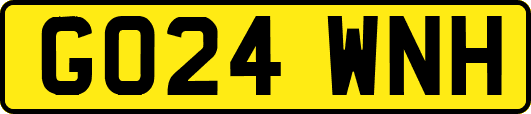 GO24WNH