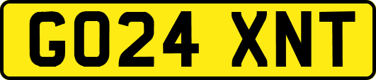 GO24XNT