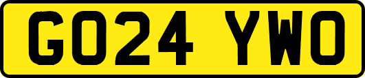 GO24YWO