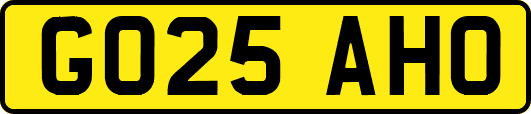 GO25AHO