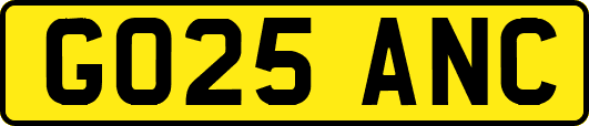 GO25ANC