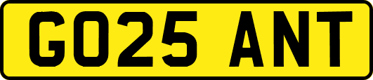 GO25ANT