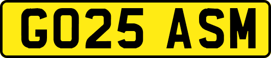 GO25ASM