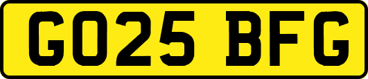 GO25BFG