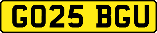 GO25BGU