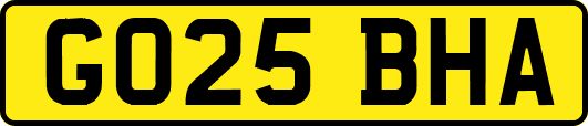 GO25BHA