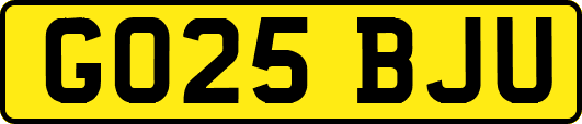 GO25BJU