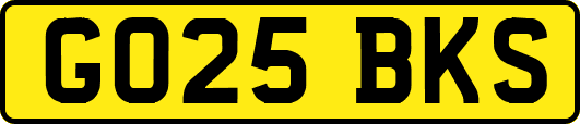 GO25BKS