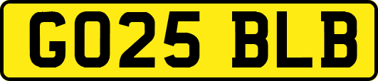 GO25BLB