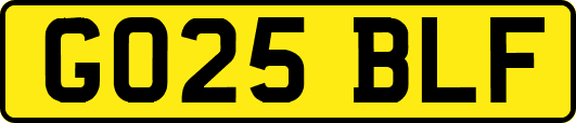 GO25BLF