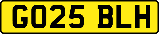 GO25BLH