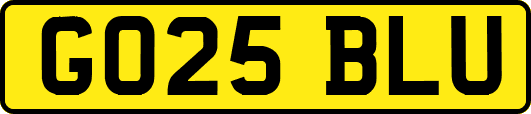 GO25BLU