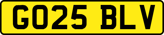 GO25BLV