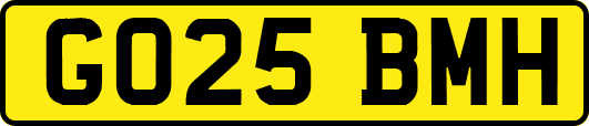 GO25BMH