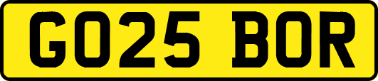 GO25BOR