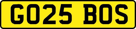 GO25BOS