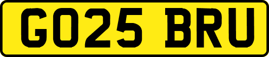 GO25BRU