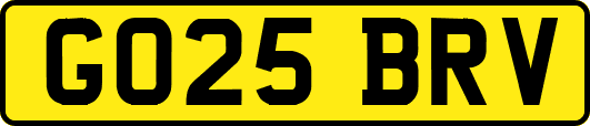 GO25BRV