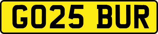 GO25BUR