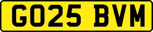 GO25BVM