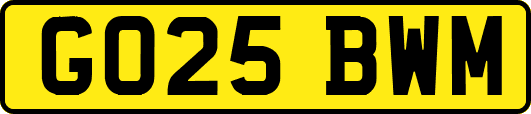GO25BWM