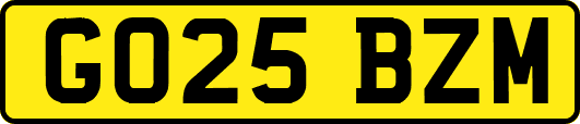 GO25BZM