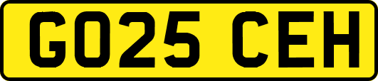 GO25CEH