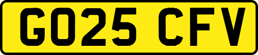 GO25CFV